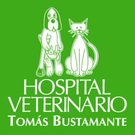 Hospital Veterinario Tomás Bustamante